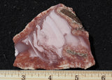 Imperial Jasper Slab 468