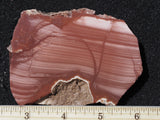 Imperial Jasper Slab 460