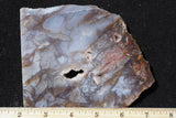 Durango Blue Agate Slab 477