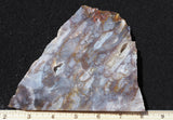 Durango Blue Agate Slab 433