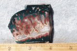 Idaho Sunset Jasper Slab 47