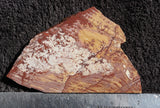 Sonoran Dendritic Rhyolite Rock Slab 485