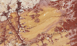 Sonoran Dendritic Rhyolite Rock Slab 485