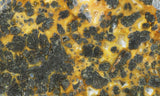 Marcasite Plume Slab 39