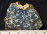 Marcasite Plume Slab 34