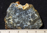 Marcasite Plume Slab 34