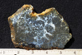 Marcasite Plume Slab 33