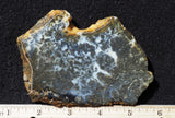 Marcasite Plume Slab 33