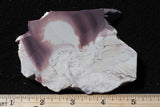 Hyacinth Porcelain Jasper Rock Slab 492