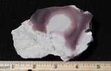 Hyacinth Porcelain Jasper Rock Slab 462
