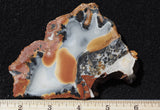 Maligano Jasper Rock Slab 91