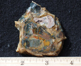 Morrisonite Jasper Rock Slab 261