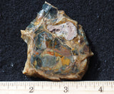 Morrisonite Jasper Rock Slab 261