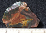 Morrisonite Jasper Rock Slab 293