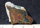 Morrisonite Jasper Rock Slab 262