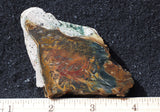 Morrisonite Jasper Rock Slab 262