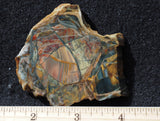 Morrisonite Jasper Rock Slab 275