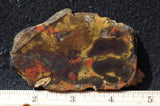 Amazon Basin Valley Jasper 484