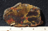 Amazon Basin Valley Jasper 484