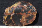 Amazon Basin Valley Jasper 494