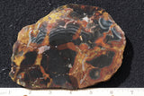 Amazon Basin Valley Jasper 494