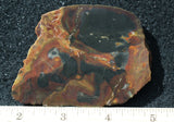 Amazon Basin Valley Jasper 498