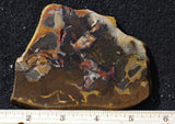 Amazon Basin Valley Jasper 497