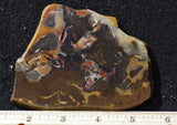 Amazon Basin Valley Jasper 497