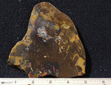 Amazon Basin Valley Jasper 496