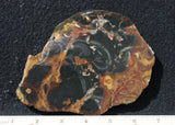 Amazon Basin Valley Jasper 481