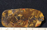 Amazon Basin Valley Jasper 486