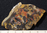 Amazon Basin Valley Jasper 470