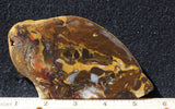 Amazon Basin Valley Jasper 472