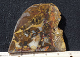 Amazon Basin Valley Jasper 469