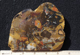 Amazon Basin Valley Jasper 479