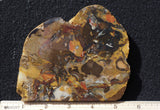 Amazon Basin Valley Jasper 479