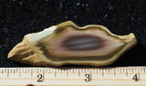 Royal Imperial 287