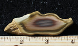 Royal Imperial 287