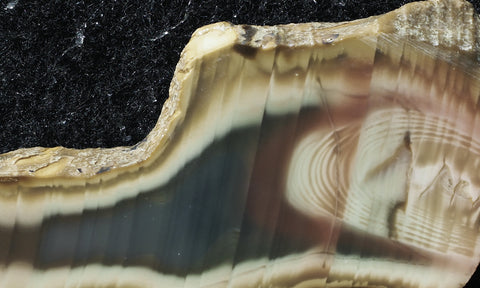 Bargain Bin F Slab 236