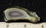 Royal Imperial 293
