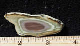 Royal Imperial 294