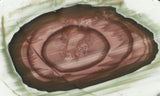 Royal Imperial 271
