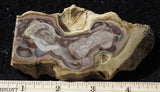 Royal Imperial Jasper 82