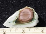 Royal Imperial 292