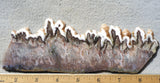 Green Angel Wing Slab 64