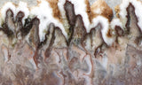 Green Angel Wing Slab 64