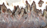 Green Angel Wing Slab 80