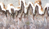 Green Angel Wing Slab 81