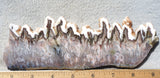 Green Angel Wing Slab 81