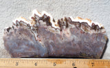 Green Angel Wing Slab 82